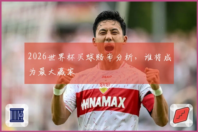 2026世界杯买球赔率分析，谁将成为最大赢家