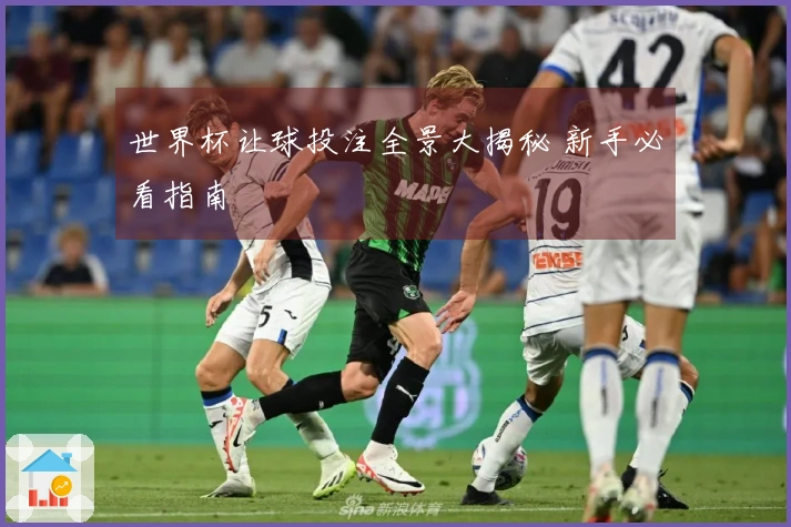 世界杯让球投注全景大揭秘 新手必看指南