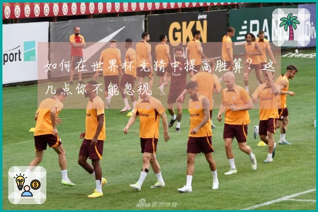 如何在世界杯竞猜中提高胜算？这几点你不能忽视
