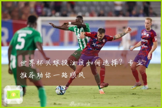 世界杯买球投注该如何选择？专业推荐助你一路顺风