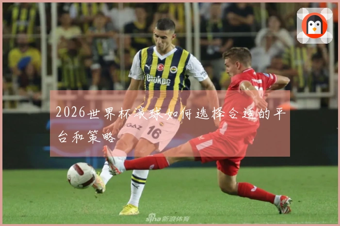 2026世界杯滚球如何选择合适的平台和策略