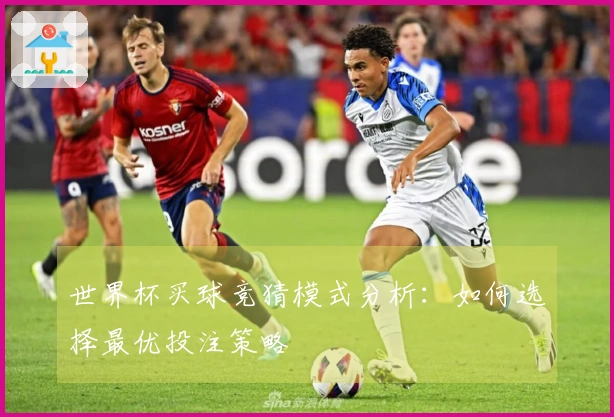 世界杯买球竞猜模式分析：如何选择最优投注策略