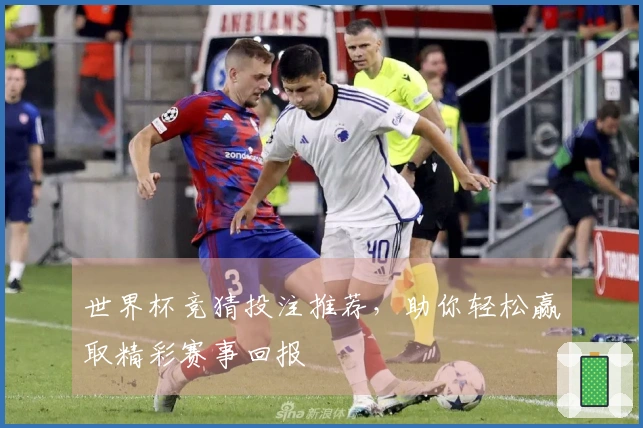 世界杯竞猜投注推荐，助你轻松赢取精彩赛事回报