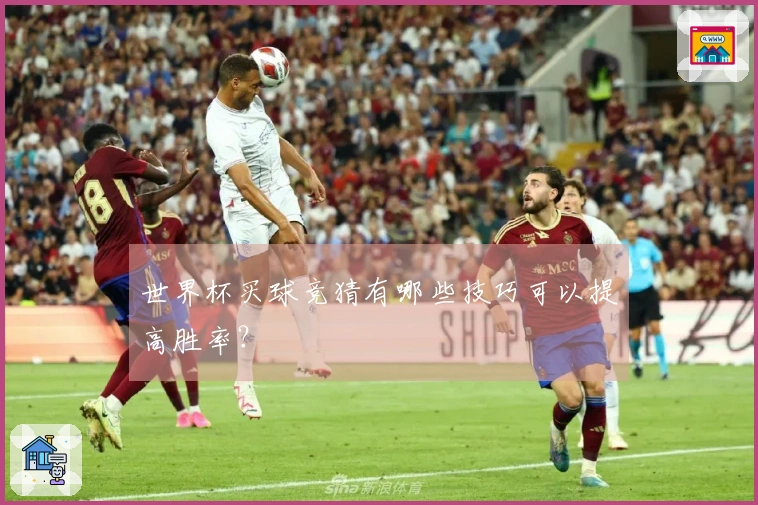 世界杯买球竞猜有哪些技巧可以提高胜率？