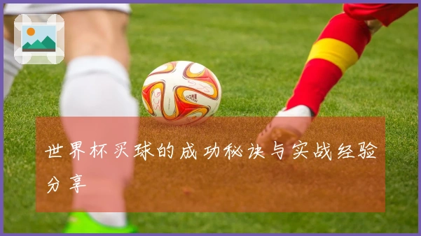 世界杯买球的成功秘诀与实战经验分享