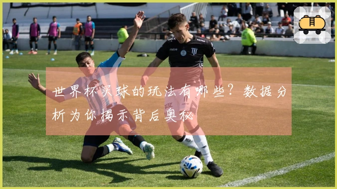 世界杯买球的玩法有哪些？数据分析为你揭示背后奥秘