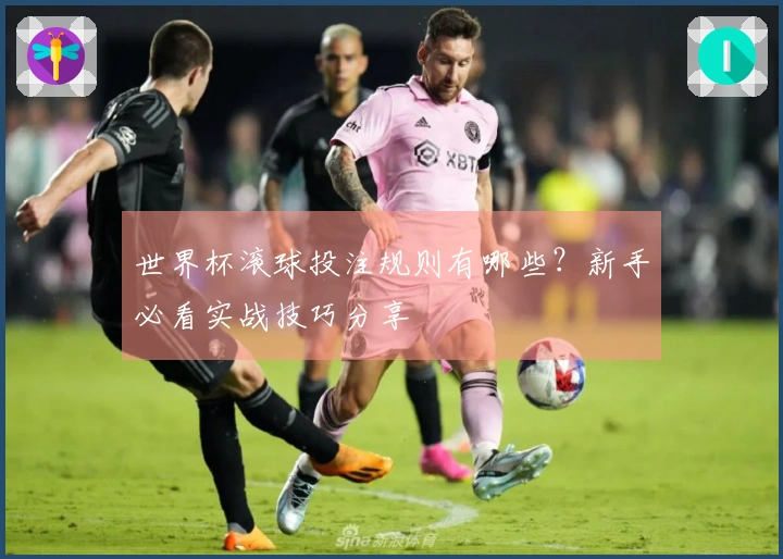 世界杯滚球投注规则有哪些？新手必看实战技巧分享