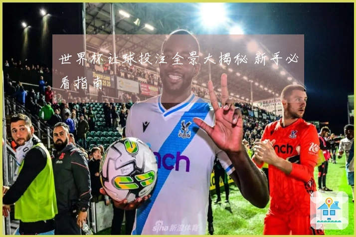世界杯让球投注全景大揭秘 新手必看指南