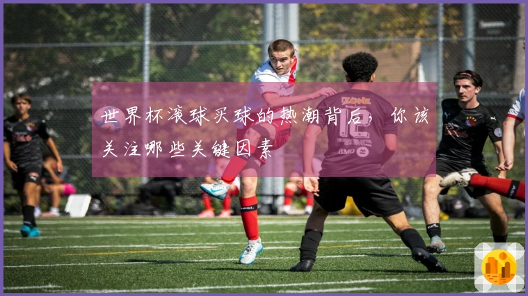 世界杯滚球买球的热潮背后，你该关注哪些关键因素