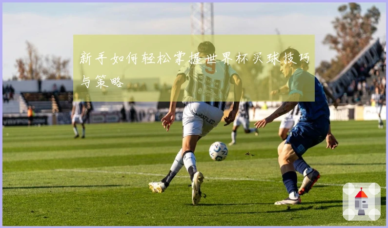 新手如何轻松掌握世界杯买球技巧与策略