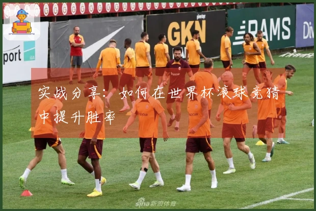 实战分享：如何在世界杯滚球竞猜中提升胜率