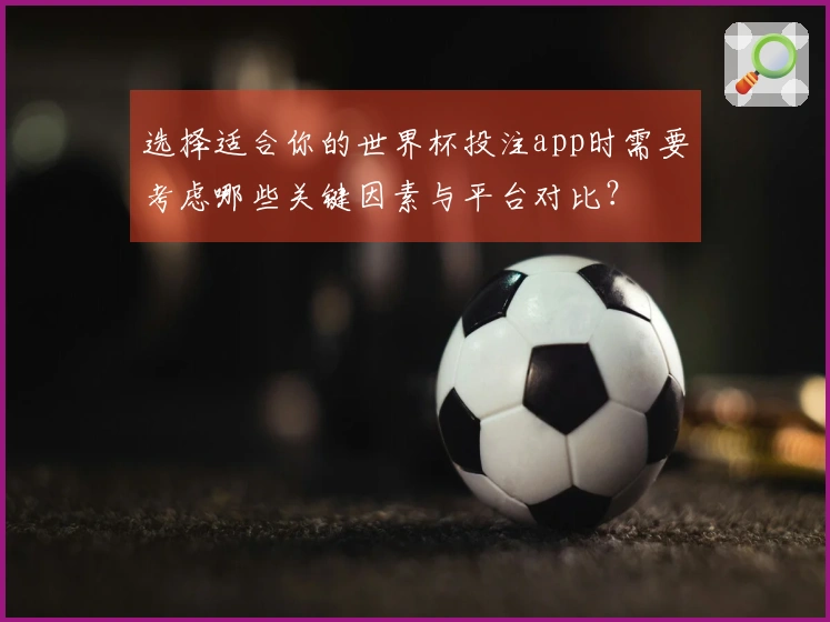 选择适合你的世界杯投注app时需要考虑哪些关键因素与平台对比？