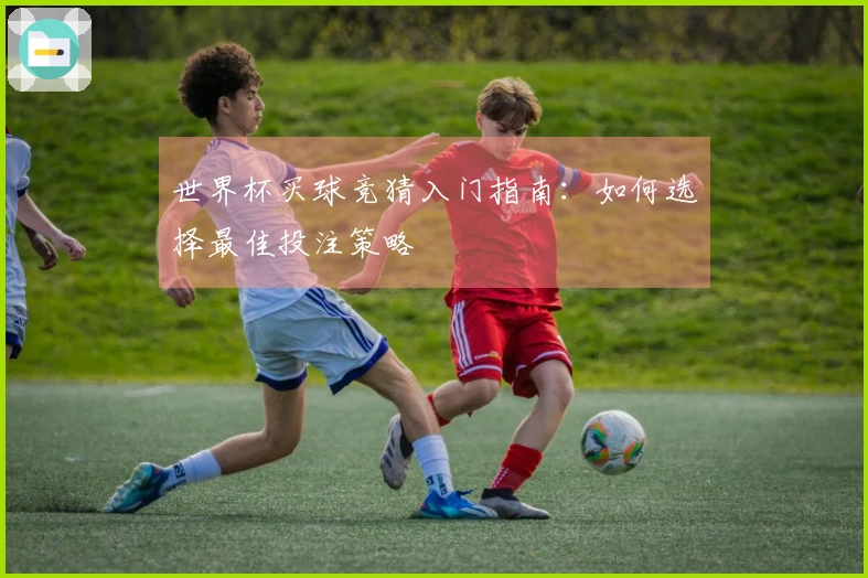 世界杯买球竞猜入门指南：如何选择最佳投注策略
